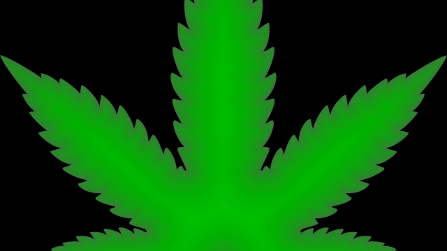 The High Life: Exploring the Green Revolution of Marijuana