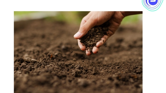 Unlocking the Secrets of Organic Soils: A Green Revolution From the Ground Up