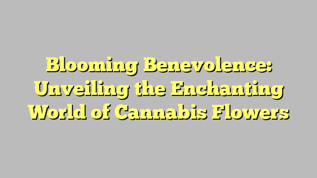 Blooming Benevolence: Unveiling the Enchanting World of Cannabis Flowers