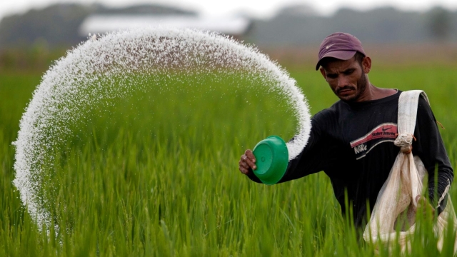 The Green Revolution: Unveiling the Power of Organic Fertilizer