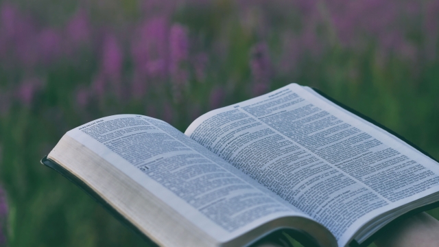 Unraveling the Scriptures: A Journey through Bible Study