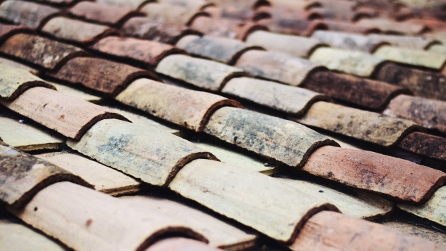 Rooftop Revelations: Unveiling the Secrets to a Perfect Roof