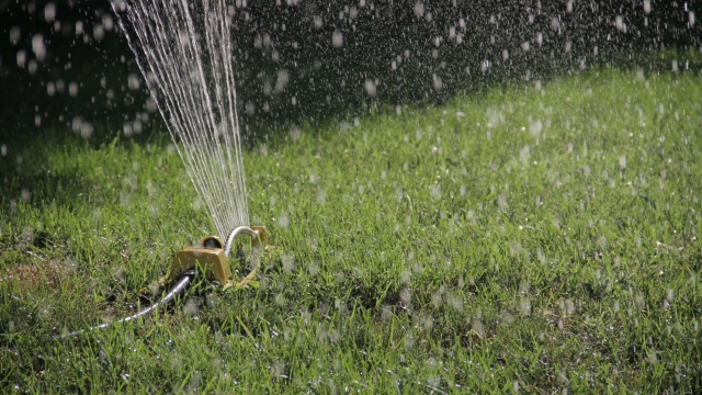 Sprinkling Success: Unveiling the Secrets of Efficient Irrigation Installers