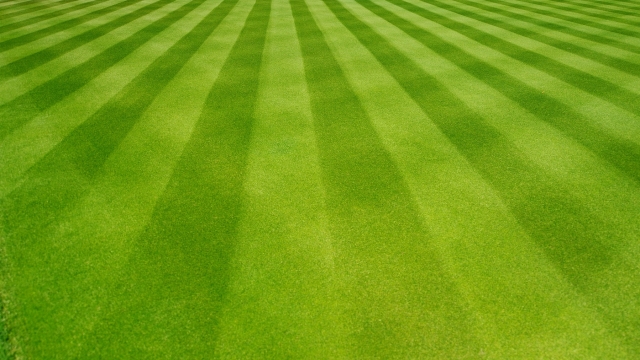 Mastering the Art of the Perfect Lawn: A Guide to Mowing and Care