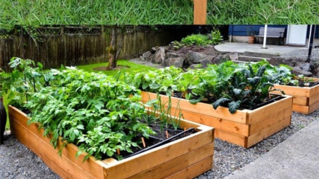 Blooming Bliss: Unveiling the Art of Garden Beds