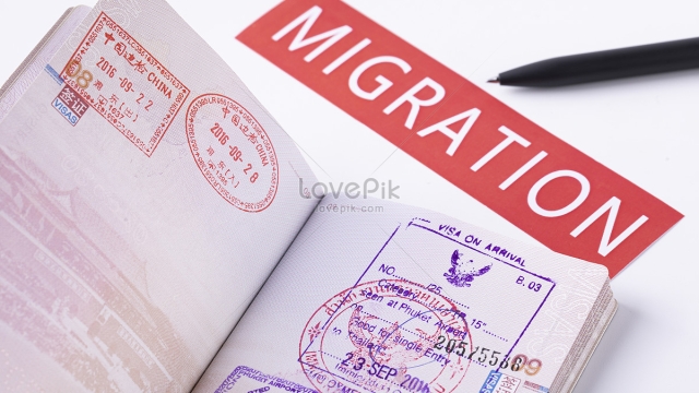 Navigating the Legal Road: A Journey into Immigration Paralegal Practice