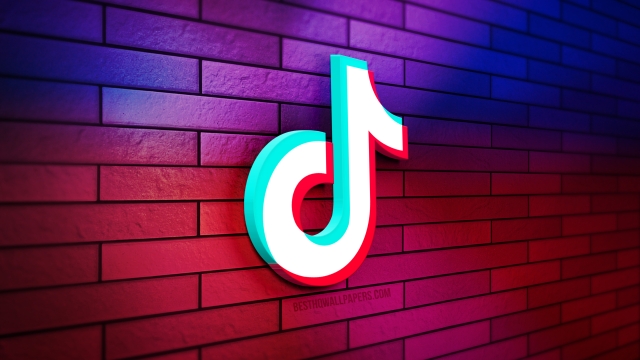 Diving into the TikTok Trend: Unleashing Your Creativity