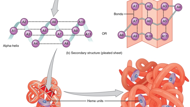 Unlocking the Power of Peptides: The Ultimate Guide