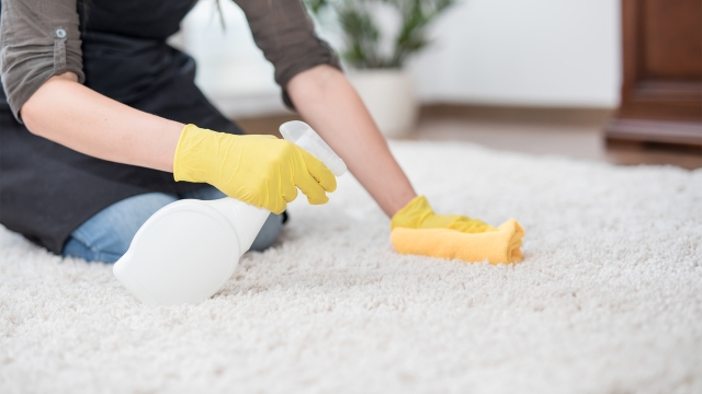 Unveiling the Secrets of Sparkling Carpets: A Comprehensive Guide to Professional Carpet Cleaning