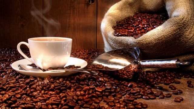 Awakening the Senses: A Deep Dive into the World of Coffee