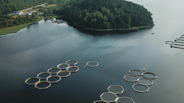 Revolutionizing the Future: How Aquaculture Technology Is Transforming Our Oceans