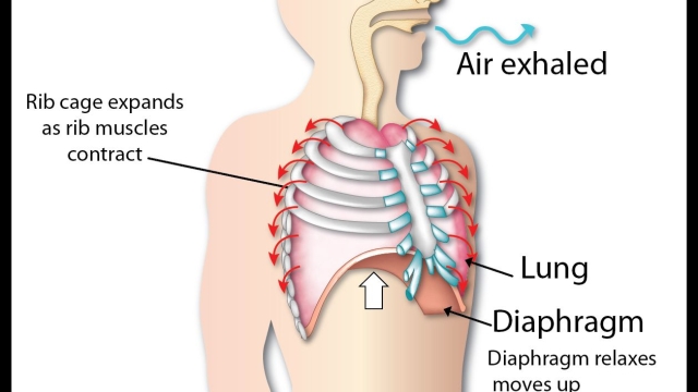 Breathing Innovation: The Future of Inhalation Devices