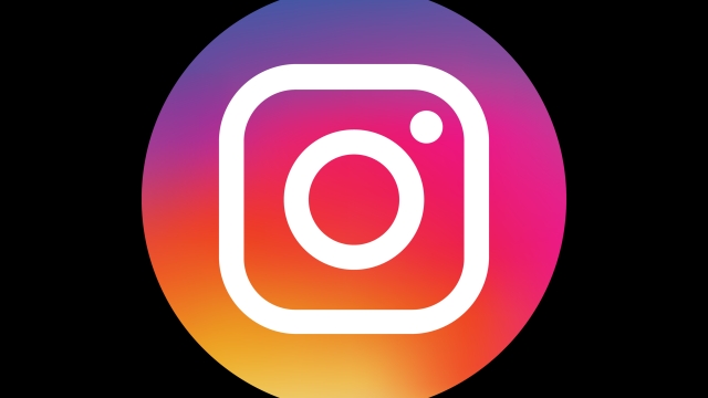 Exploring Trends to Attract Followers on Instagram
